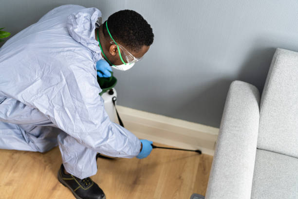 Best Pest Exclusion Services  in Haughton, LA